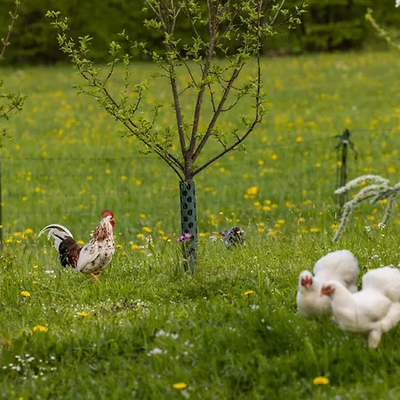Unterbrandnerlehen Appartamento Schönau am Königssee