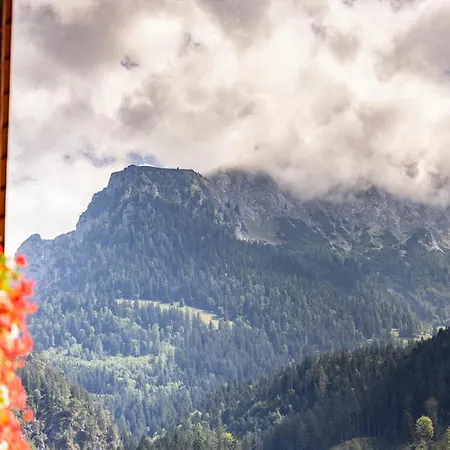 Unterbrandnerlehen Appartement *